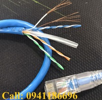 3 Day nhảy patch cord CAT6 UTP 10M lõi đồng 100 pass Fluke, đầu đúc ACT-LAN-610BLD