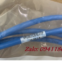 1 Day nhảy patch cord CAT6 UTP 10M lõi đồng 100 pass Fluke, đầu đúc ACT-LAN-610BLD