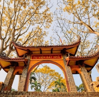 Mọi người muốn đi du lịch mà chưa biết đi đâu  Tour du lịch 2n1d tại Bảo Lộc đồi chè Tâm Châu thác Đ