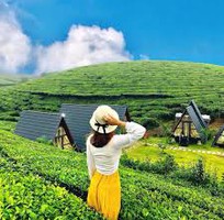 2 Mọi người muốn đi du lịch mà chưa biết đi đâu  Tour du lịch 2n1d tại Bảo Lộc đồi chè Tâm Châu thác Đ