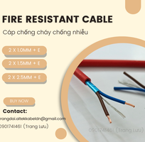 3 Cáp chống cháy chống nhiễu 2Cx1.5mm