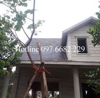 Đối tác tin cậy cho ngói lợp bitum phủ đá chất lượng và uy tín