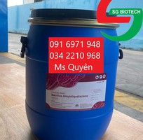 Mua bán sỉ men vi sinh đơn dòng Bacillus Amyloliquefaciens