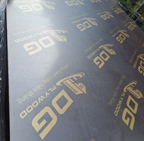 1 Ván Ép Phủ Phim - Cốp Pha Phim giá rẻ 240k tại Hải Phòng