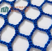 2 Lưới an toàn 3 vuông polypropylene mắt lưới 2.5cm