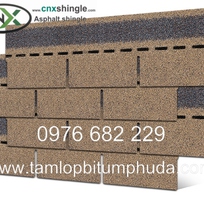 4 Ngói bitum CNX - Vật liệu mái cho nhà bungalow