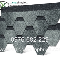 10 Ngói bitum CNX - Vật liệu mái cho nhà bungalow