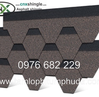 12 Ngói bitum CNX - Vật liệu mái cho nhà bungalow