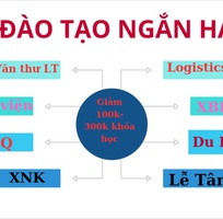 Đào tạo nghiệp vụ khai hải quan điện tử tại Đà Nẵng