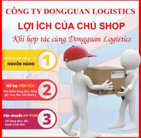 Dịch vụ order, vận chuyển công ty Dongguan Logistics