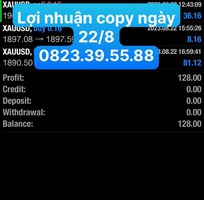 Tổng kết lợi nhuận copy ngày 22/8 Tổng kết lợi nhuận copy ngày 22/8