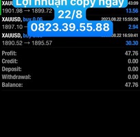1 Tổng kết lợi nhuận copy ngày 22/8 1 Tổng kết lợi nhuận copy ngày 22/8