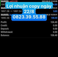 3 Tổng kết lợi nhuận copy ngày 22/8 3 Tổng kết lợi nhuận copy ngày 22/8