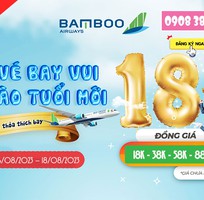 Mừng sinh nhật 5 tuổi Bamboo Airways tung hàng loạt vé ưu đãi