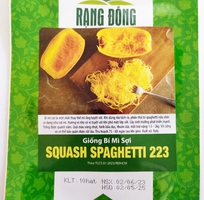 Hạt giống Bí mì sợi Rạng Đông Squash Spaghetti 223