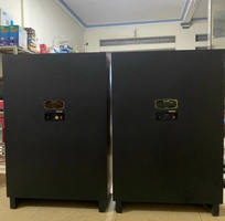 2 Loa tannoy arden mkii tình trạng zin và tuyệt đẹp