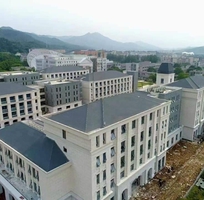 1 Ngói lợp nhập khẩu siêu bền và siêu nhẹ,cần tìm nhà hợp tác phân phối tại các tỉnh