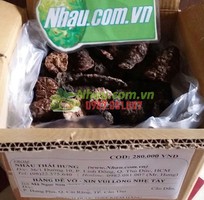 Bán trái nhàu khô toàn quốc Bán trái nhàu khô toàn quốc