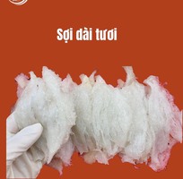 17 Công ty Yến Sào Thiên Thanh Nha Trang