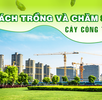 Cách trồng   Chăm sóc cây xanh công trình để đạt hiệu quả tốt nhất