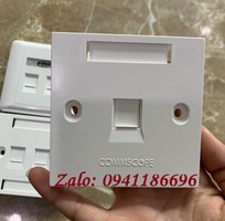 Phân phối mặt nạ vuông Wallplate AMP 1,2 port mã 1859049-1, 1859050-1 có sẵn hàng tại Annam