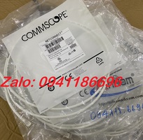 17 Chuyên phân phối Dây nhảy Patch cord CommScope Cat5/Cat6 luôn sẵn hàng