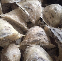 3 Sử dụng yến đảo Thiên Thanh rất tốt cho sức khoẻ