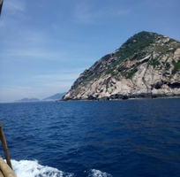 4 Sử dụng yến đảo Thiên Thanh rất tốt cho sức khoẻ