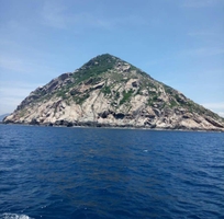 7 Sử dụng yến đảo Thiên Thanh rất tốt cho sức khoẻ