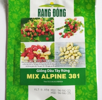 Hạt giống Dâu tây rừng Mix Alpine 381