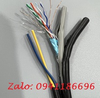 10 Annam chuyên phân phối dự án Đầu bấm hạt mạng RJ45 Cat6 mã 5-554720-3 chân đồng Sole có sẵn hàng