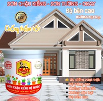 2 Tim Nhà Phân Phối Sơn Chậu Kiểng Hệ Nước Okay