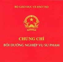 Chứng Chỉ Nghiệp Vụ Sư Phạm Dành Cho Giáo Viên Dạy Trung Tâm