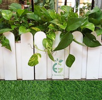 4 Trang trí ban công, sân vườn với chậu hàng rào gỗ nhựa composite trắng