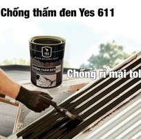 1 Sơn chồng thấm đen Yes 611