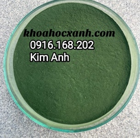 SPIRULINA POWDER   Bột tảo tự nhiên cho thuỷ sản