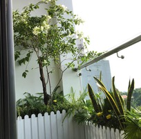 2 Trang trí ban công, sân vườn với chậu hàng rào gỗ nhựa composite trắng