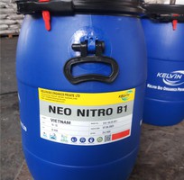 NEO NITRO B1: Vi sinh bột xử lý đáy ao