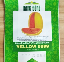 Hạt giống Dưa hấu vỏ vàng ruột đỏ lai F1 Yellow 9999 trồng trưng Tết