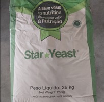 Sản phẩm từ nấm men Star Yeast