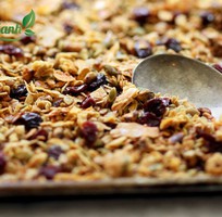 Granola là gì  Nguồn gốc, tác dụng của granola đối với sức khỏe