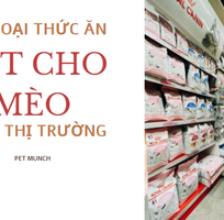 Các Loại Thức Ăn Hạt Cho Mèo Trên Thị Trường