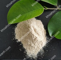 1 TAURINE   Acid amin tăng cường khứu giác và tăng trưởng cho tôm cá