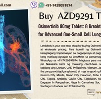 Osimertinib 80mg Tablet Price Thailand   Buy AZD9291 Wholesale Online Philippines