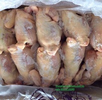 Phân phối gà Hàn Quốc nguyên con đông lạnh giá rẻ