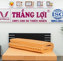 1 Nệm Cao Su Thiên Nhiên 100