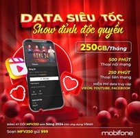 Chơi xuân không lo lắng Data vì đã có 250GB từ gói MFV250 MobiFone