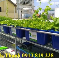 Thùng nhựa nuôi cá 500 lit - giao hàng toàn quốc