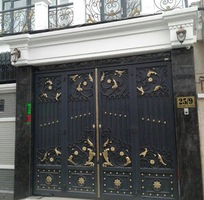 17 Mẫu cửa cổng sắt hoa văn nghệ thuật tại hà nội