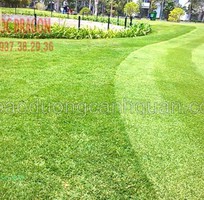 Cắt cỏ Sân Banh   Sân Golf chuyên nghiệp ở Đồng Nai, TPHCM